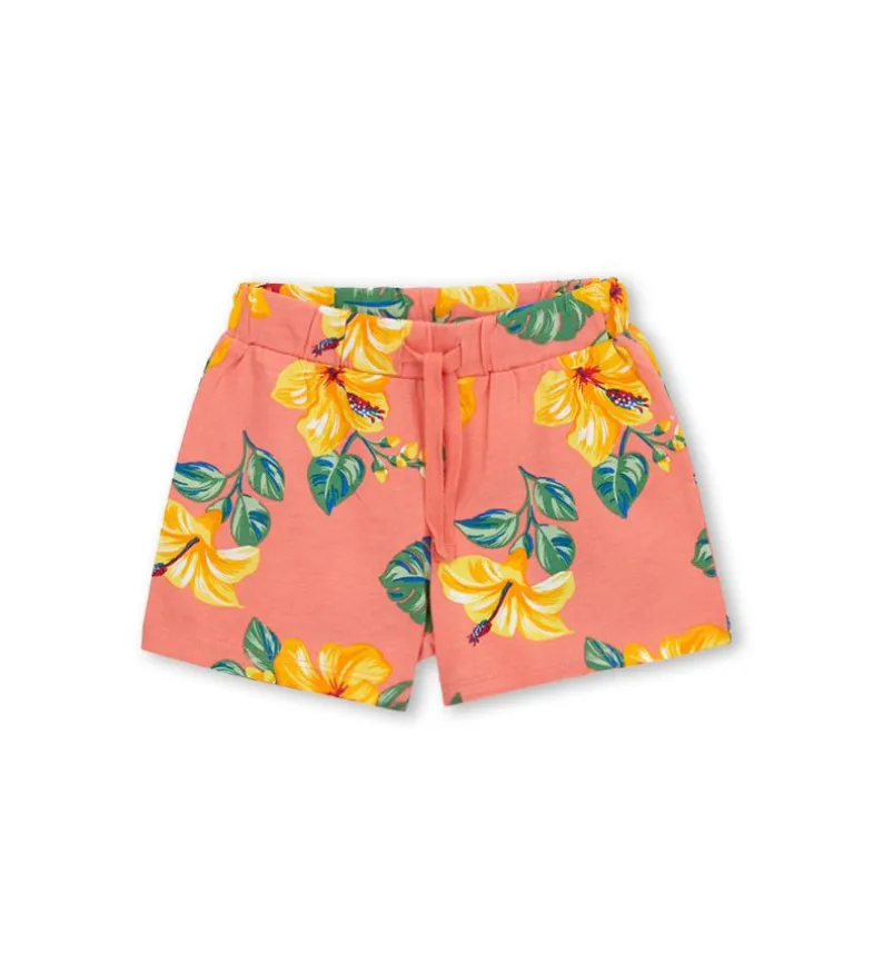 Bermuda corallo