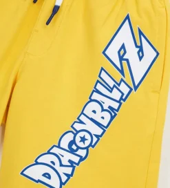 Bermuda Dragon ball