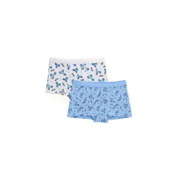 Boxer bambino