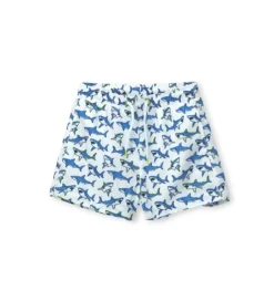 Boxer mare bianco