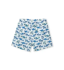 Boxer mare bianco