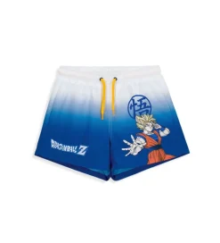 Costume Dragon ball
