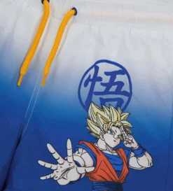 Costume Dragon ball