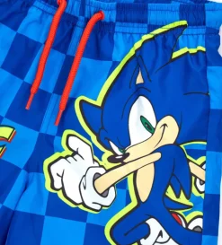 Costume sega Sonic