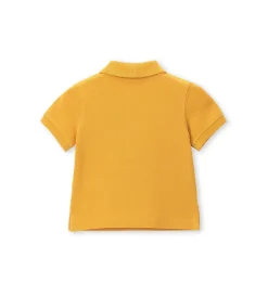 Polo in piquet